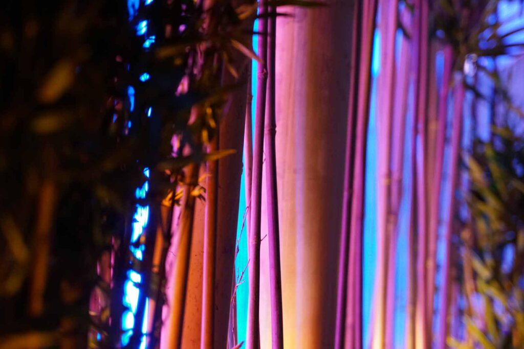PREMIUM - Shisha Bar, Restaurant & Gaming 6