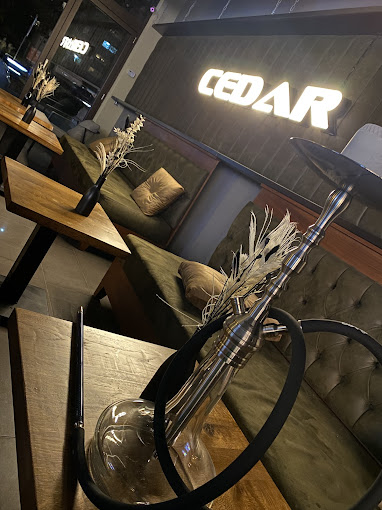CEDAR Lounge Shisha Bar Interior